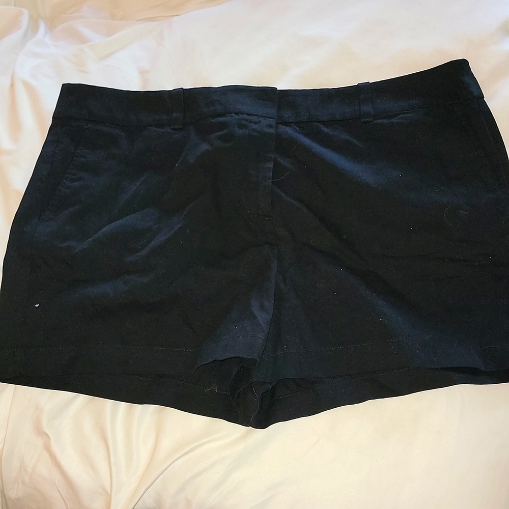 NWT LOFT shorts